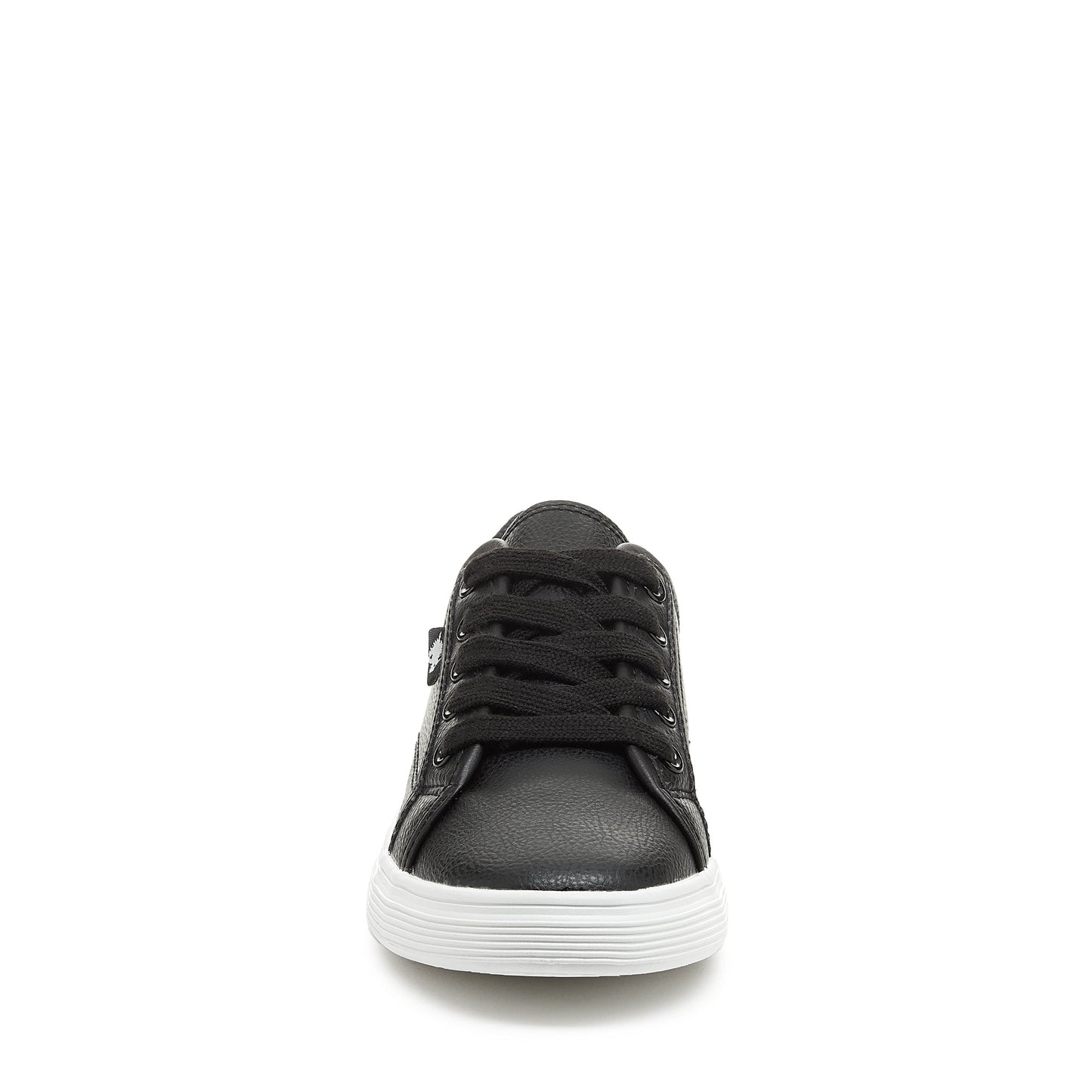 Zandra Black  Trainer